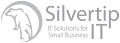 Silvertip IT