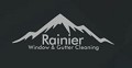 Rainier Window, Moss Removal Woodinville